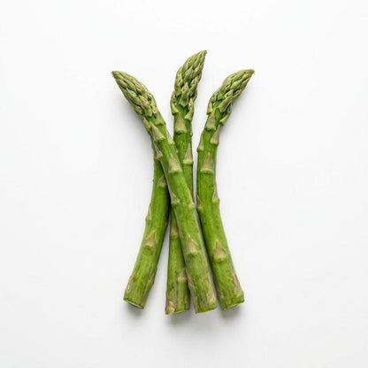 🌱 Mary Washington Asparagus Seeds | 💚Low Maintenance | ✅Plant Once, Harvest 20+ Years-AUX