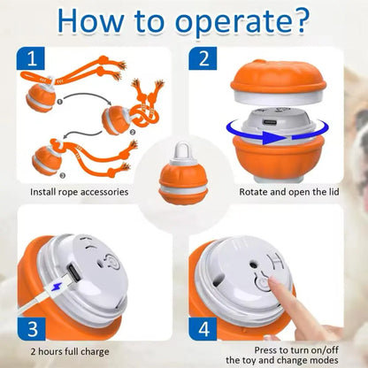 Stop Pet Boredom Instantly! The Ultimate Smart Companion for Your Furry Friend 🐾-DZT