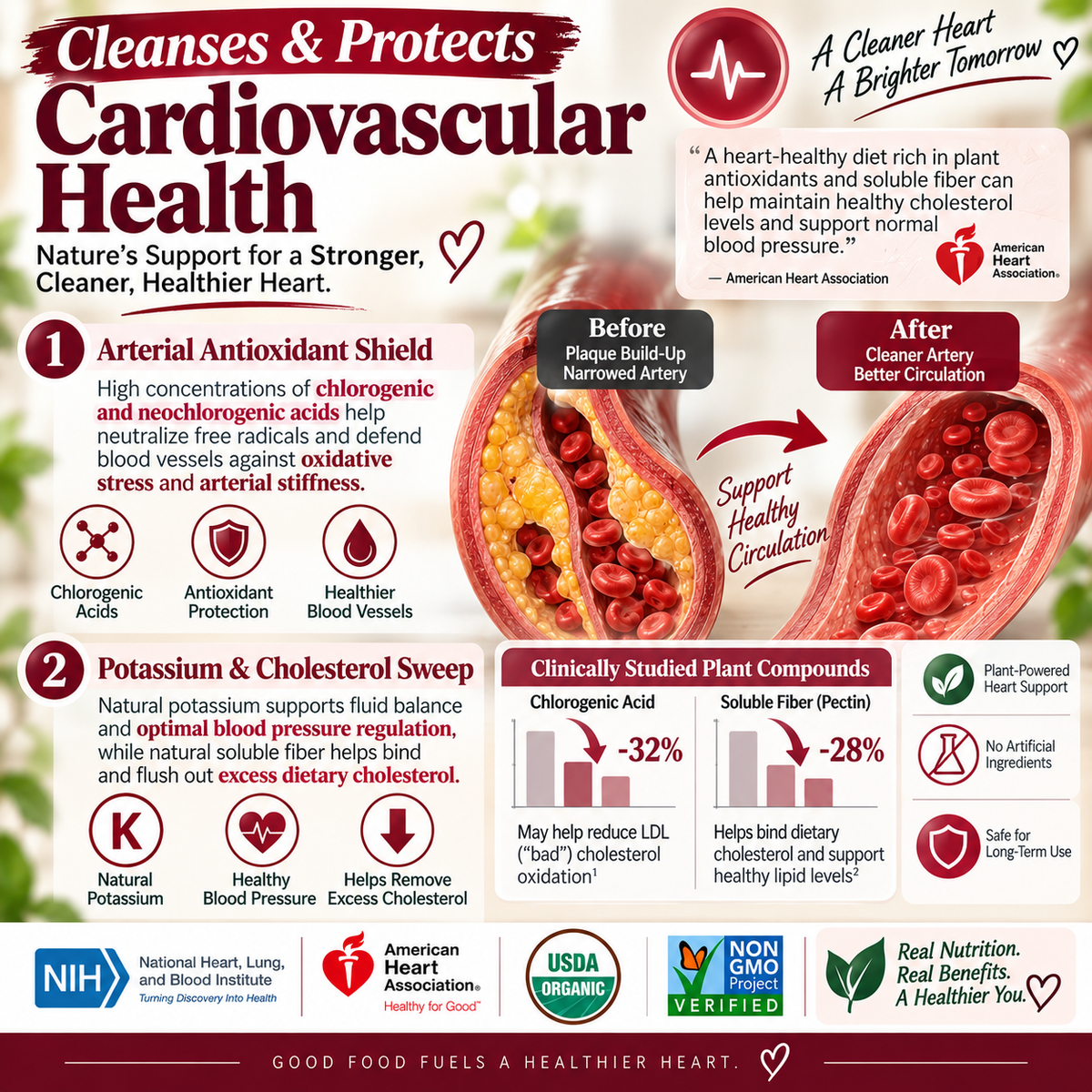 Premium Organic Dried Plums - Natural Arterial & Gut Cleanse, Weight Loss Support (100% Whole Dried Fruit, Lab-Tested) LGZ