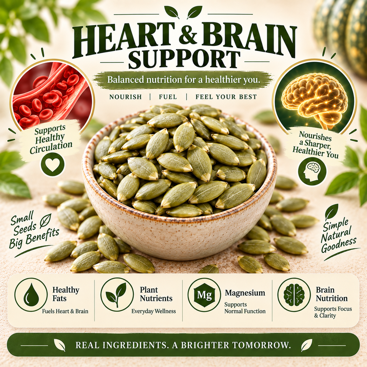 Premium Pumpkin Seed Kernels — Pure Plant Nutrition for Everyday Wellness-HJY