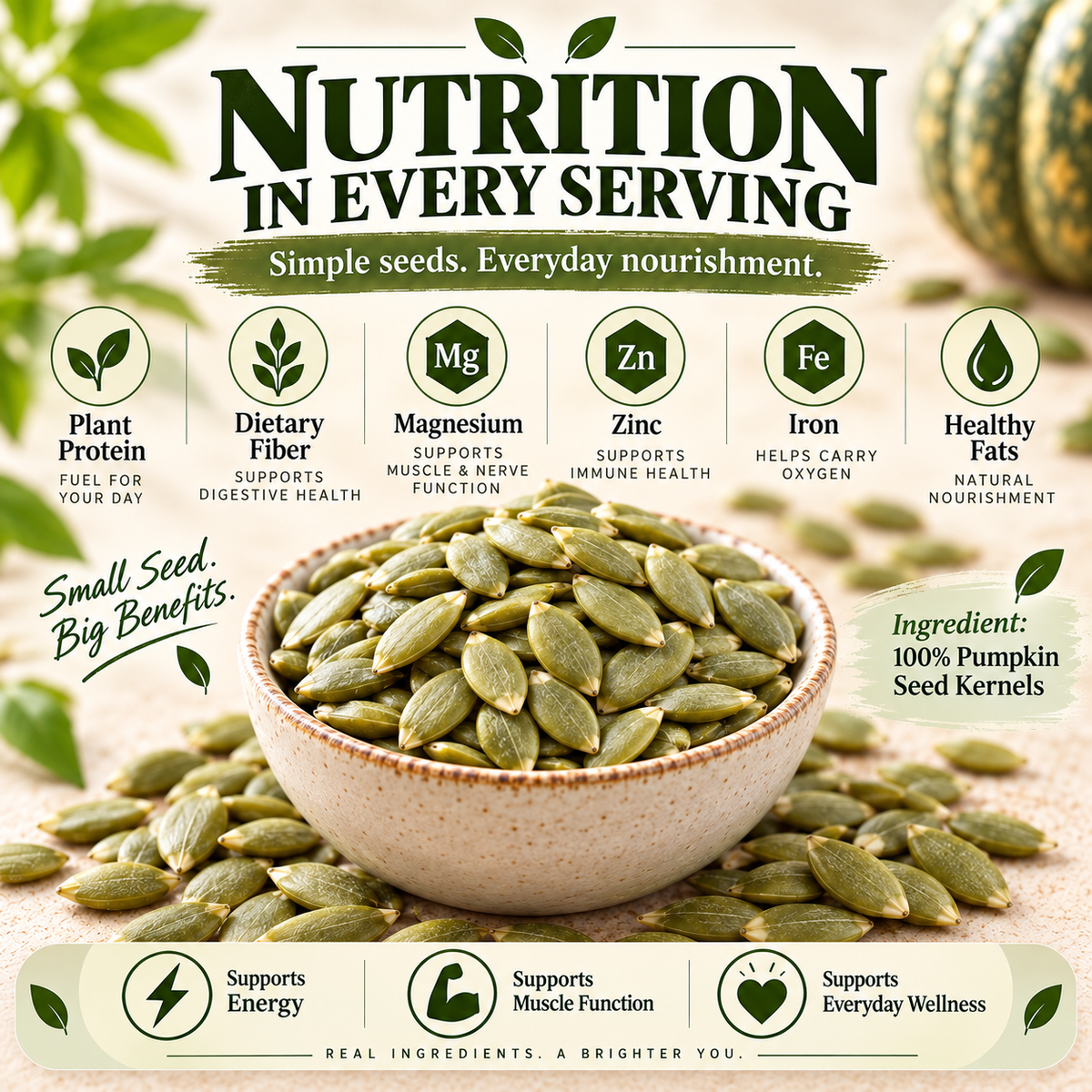 Premium Pumpkin Seed Kernels — Pure Plant Nutrition for Everyday Wellness-HJY