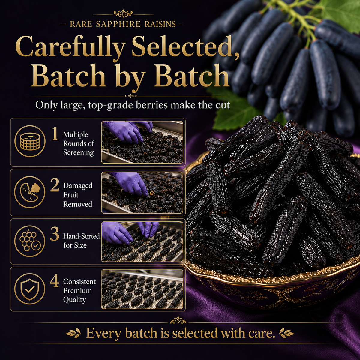 🍇Pure Natural Sapphire Raisins • For Healthy Blood Sugar & Lipids-ZRT