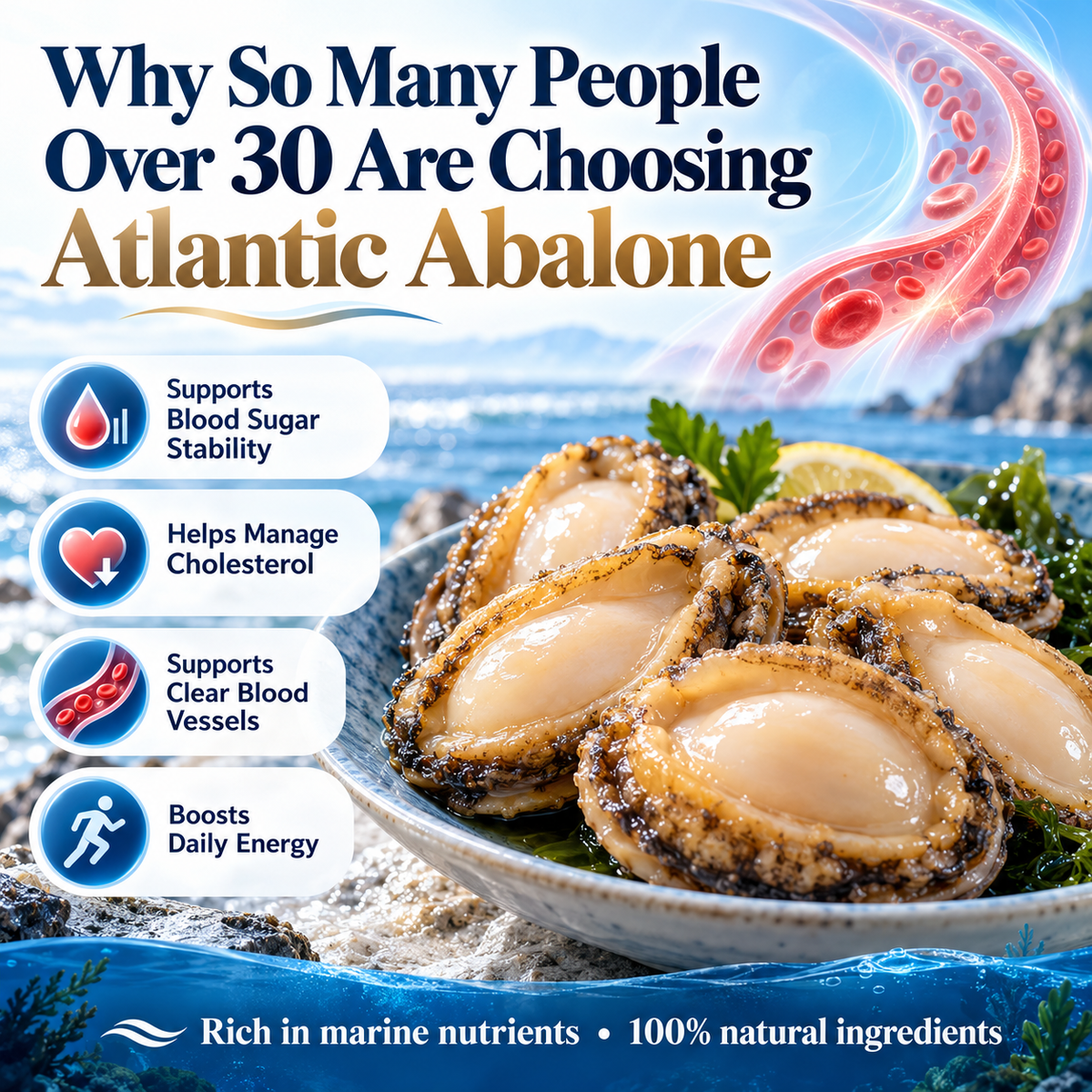 100% Natural Deep-Sea Abalone-ZRT