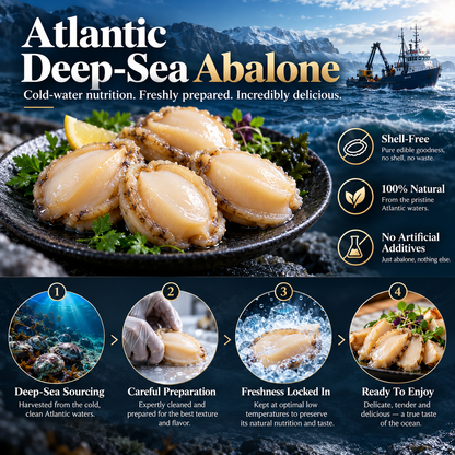 100% Natural Deep-Sea Abalone-ZRT