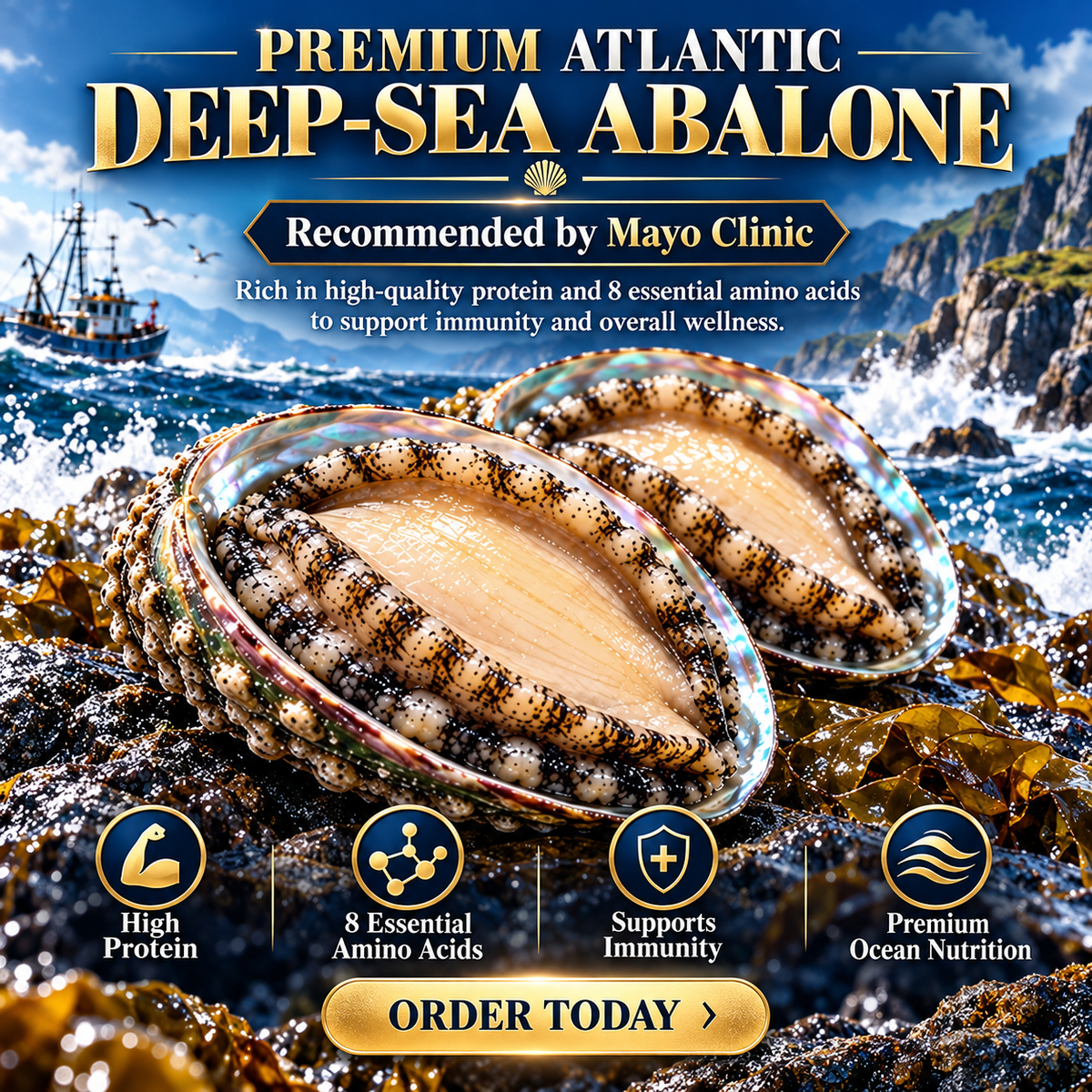100% Natural Deep-Sea Abalone-ZRT