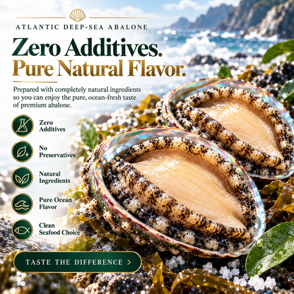 100% Natural Deep-Sea Abalone-ZRT