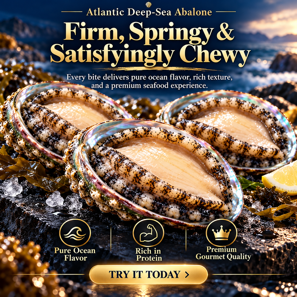 100% Natural Deep-Sea Abalone-ZRT
