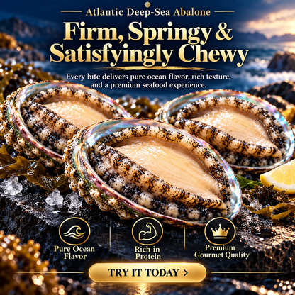 100% Natural Deep-Sea Abalone-ZRT