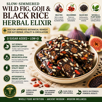 🩺 Slow-Simmered Wild Fig, Goji & Black Rice Herbal Elixir – Doctor-Approved Botanical Paste for Gut Repair, Vitality & Circulation (0 Sugar Added, Low-GI) 🌿 LGZ