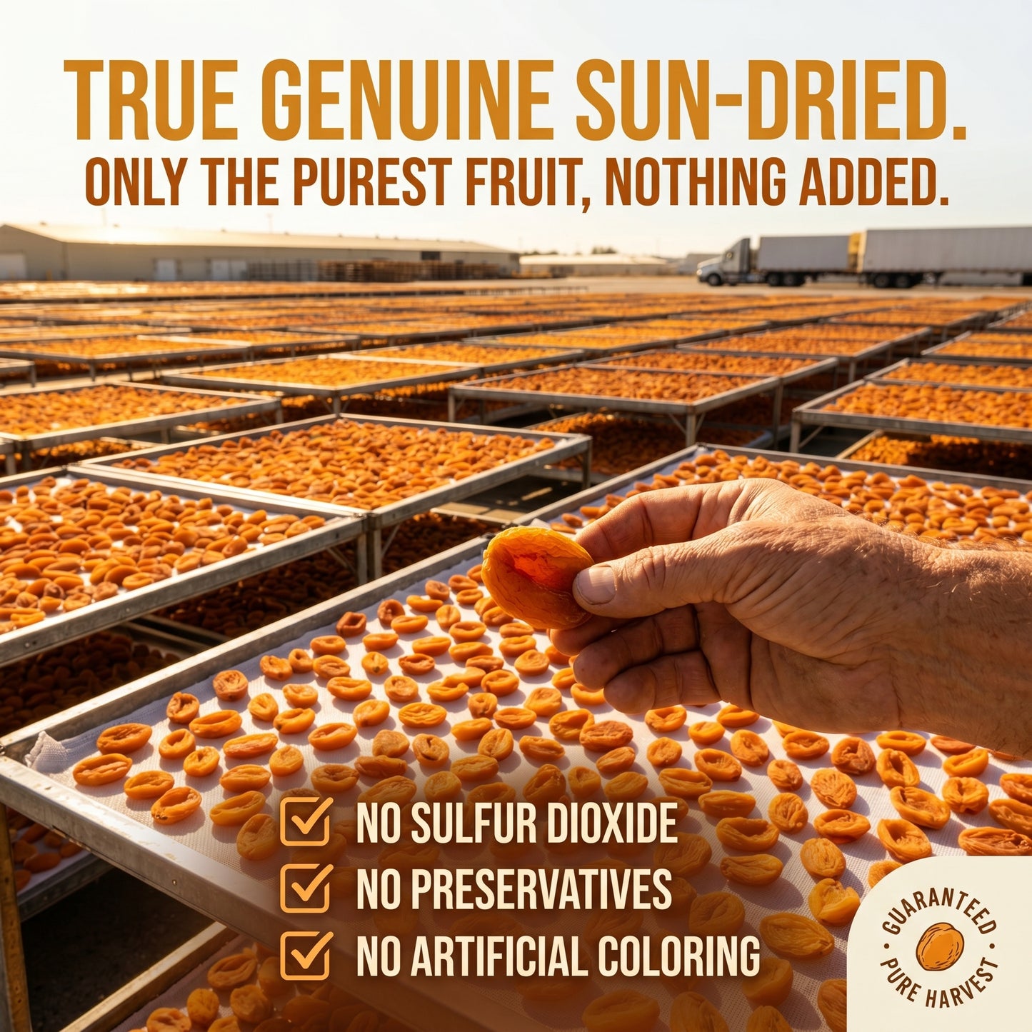 🍑Pure California Sunshine: Premium Unsulfured Dried Apricots — 🍃Whole, Sun-Dried & Naturally Sweet-XXS