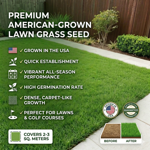 Grass Seed and Shade Grass, Grows quickly and withstands all seasons, perfect for high-quality turf and golf courses, High Germination Grass Seeds Grown in USA-LGZ