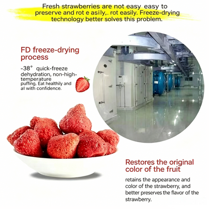 100% Natural Freeze-Dried Strawberries-TTT