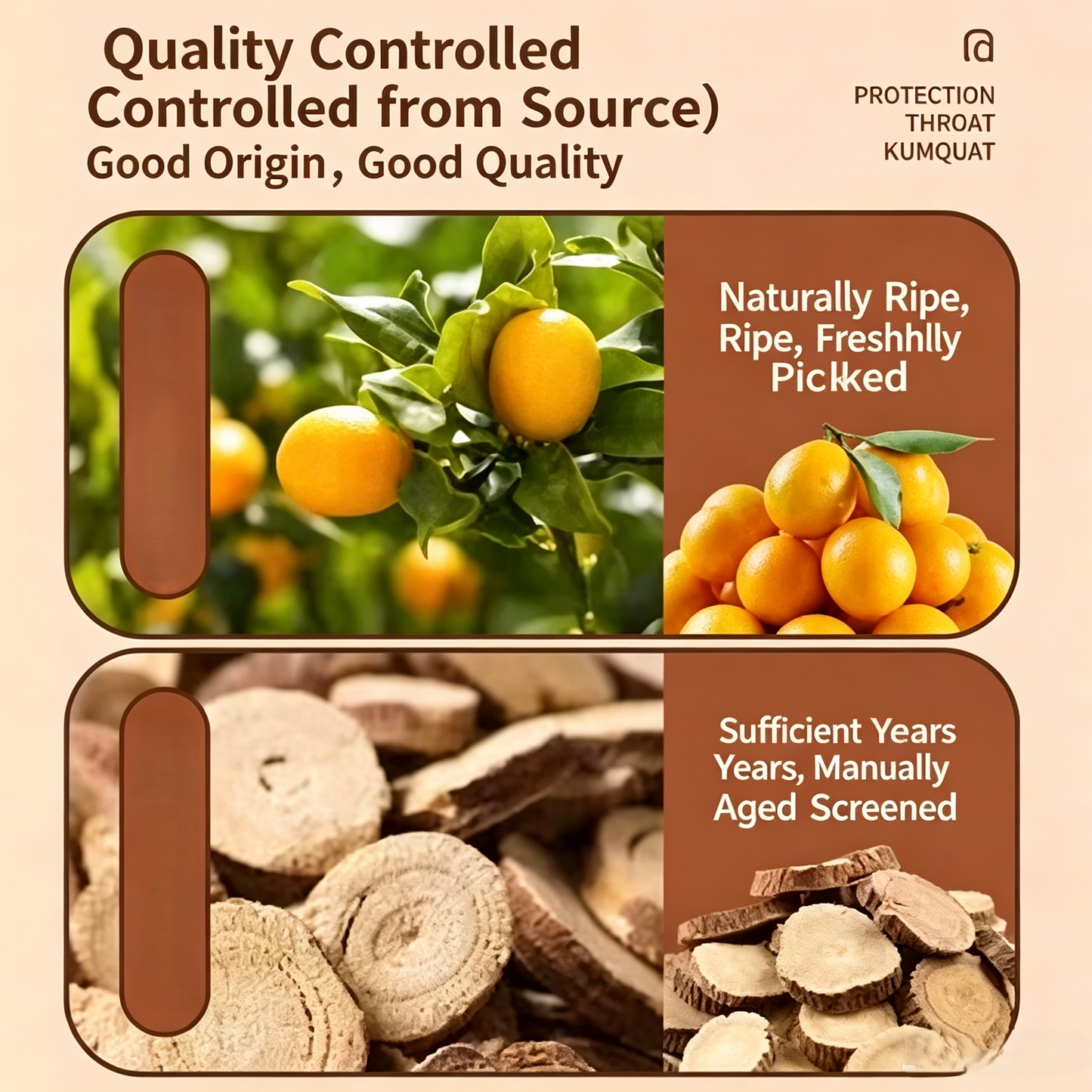 😋Licorice Kumquat- 🍃Natural Healthy Green Snack.-AUX