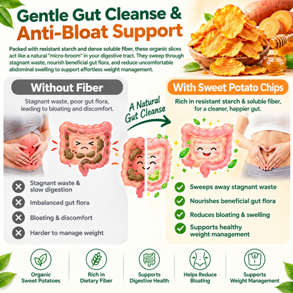 Golden Honey-Glazed Sweet Potato Chips – Slow-Baked, Non-GMO & Guilt-Free LGZ