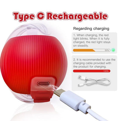Interactive Moving Cat Toy Ball, Automatic Rolling Pet Toy with Tail, USB Rechargeable Smart Ball for Cats & Small Dogs-TTT