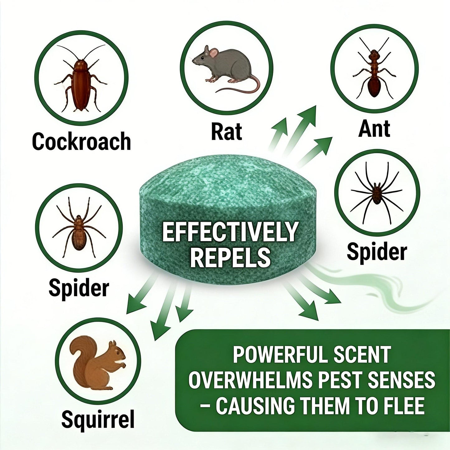 Premium Natural Peppermint Rodent Repellent | Upgraded 12-Pack Safe Pest Control 🌿🐭 LGZ