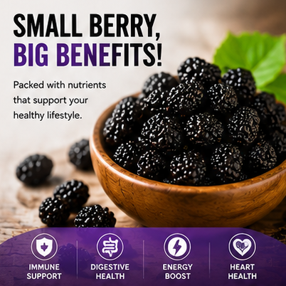 💯Natural, healthy, additive-free dried black mulberries🍇-XXS