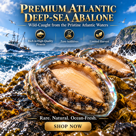 100% Natural Deep-Sea Abalone-ZRT